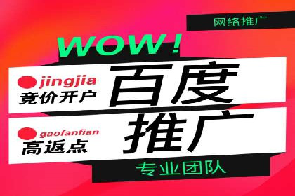 百度竞价托管公司成功案例揭秘：策略决定成败